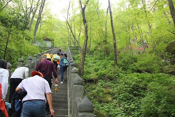 金頂路途1 金頂路途1