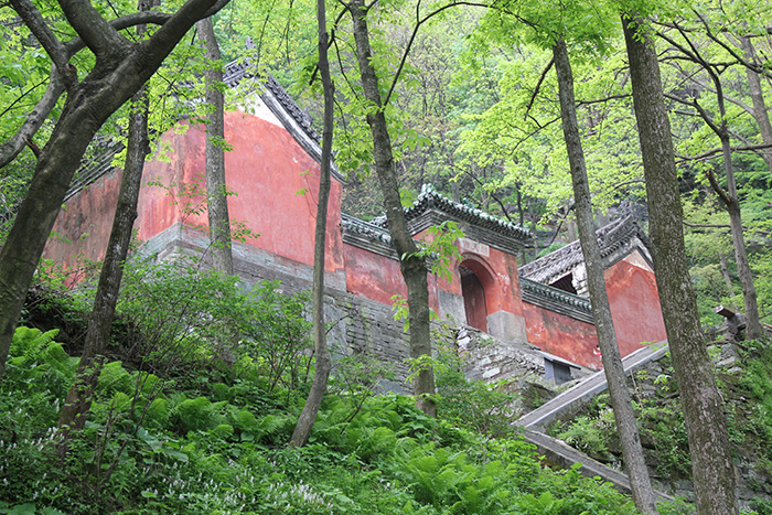 金頂路途2 金頂路途2